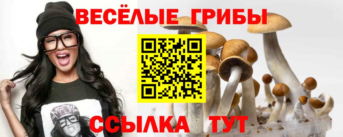 Галлюциногенные грибы MAGIC MUSHROOMS Торжок