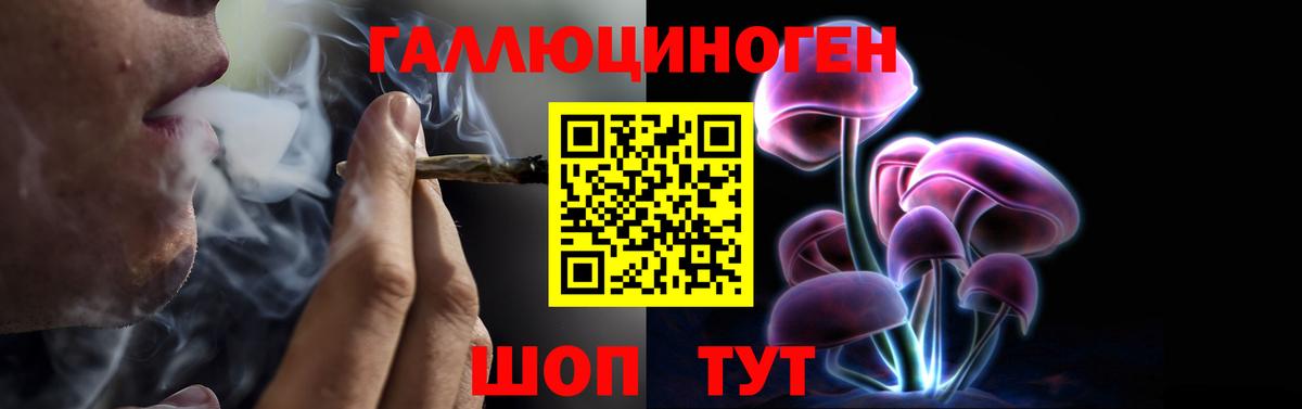 Торжок  Псилоцибиновые грибы мухоморы  Вход с VPN 